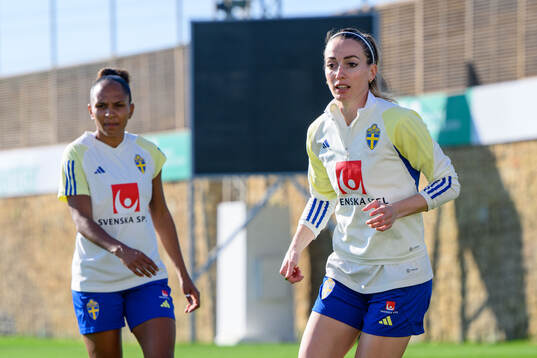 Madelen Janogy and Kosovare Asllani of Sweden of the