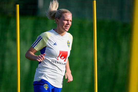 Josefine Rybrink of Sweden of the women's national football
