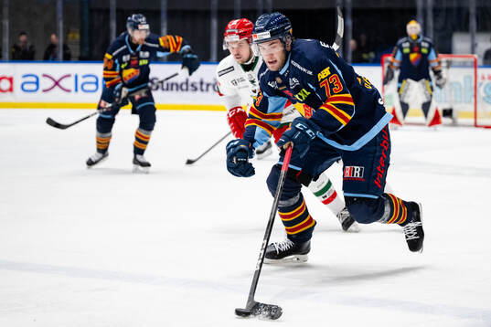 Djurgårdens Anton Gradin