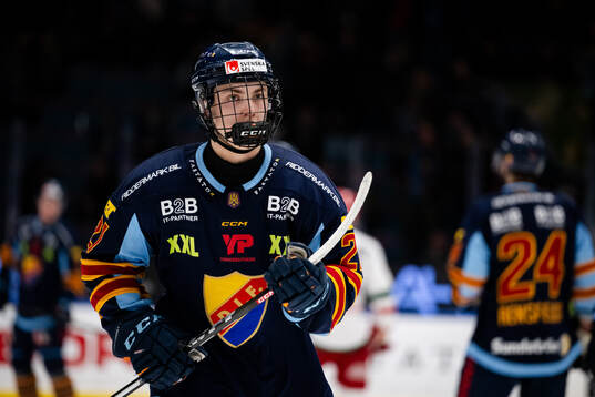 Djurgårdens Linus Eriksson