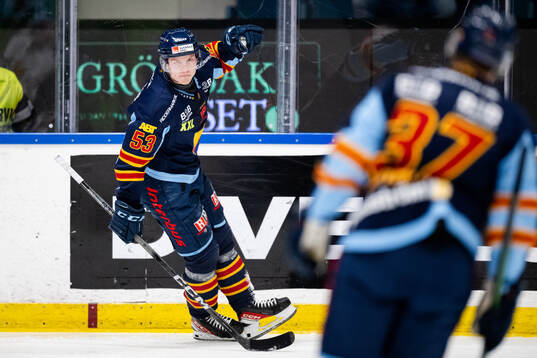 Djurgårdens David Blomgren jublar