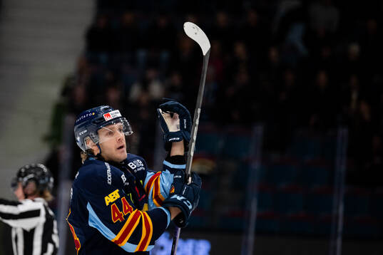 Djurgårdens Olle Liss