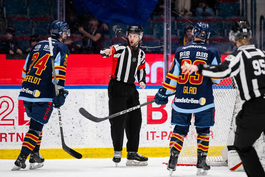 Domare Niklas Johansson