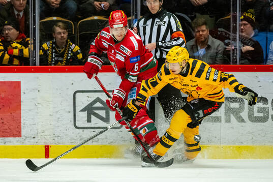 MoDos Daniel Brickley och Skellefteås Pär Lindholm