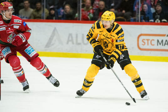 Skellefteås Pär Lindholm