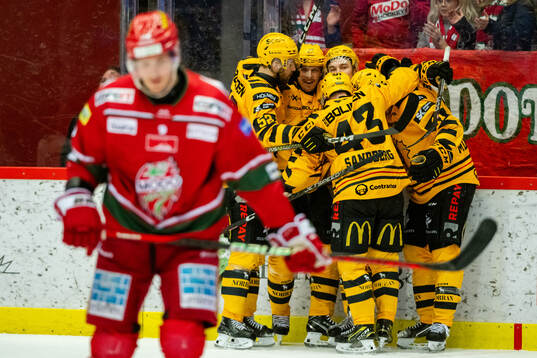 Skellefteås Axel Sandin Pellikka jublar