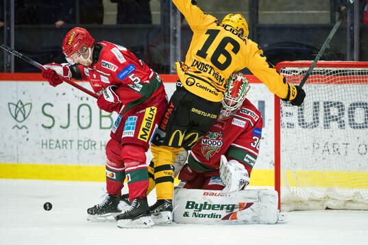 MoDos målvakt Lassi Lehtinen August Berg och Skellefteås