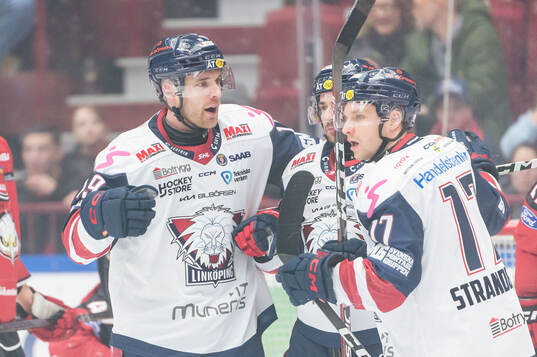 Linköpings Patrick Russell jublar
