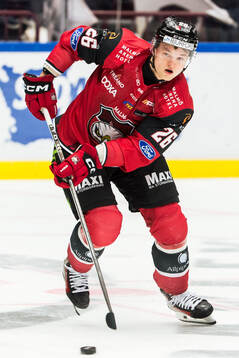 Malmö Redhawks Teemu Kivihalme