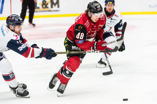 Malmö Redhawks Lauri Pajuniemi