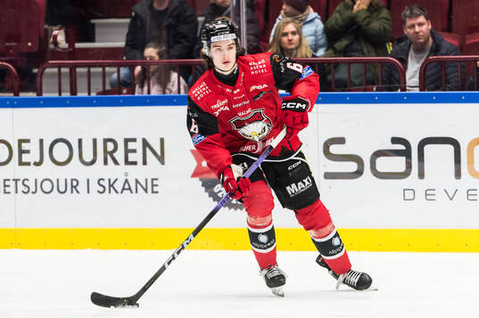 Malmö Redhawks Dominik Badinka