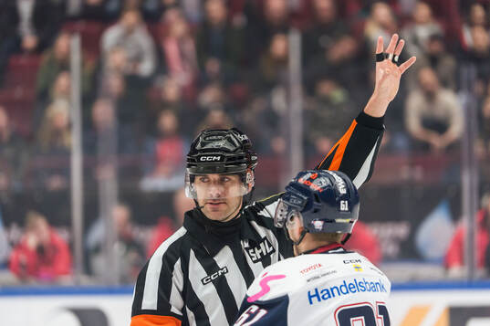 Domare Richard Magnusson och Linköpings Markus Ljungh