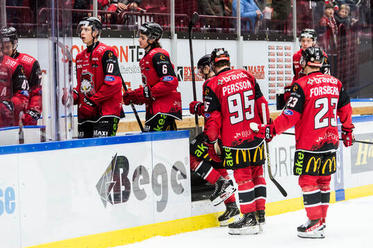 Malmö Redhawks spelare deppar