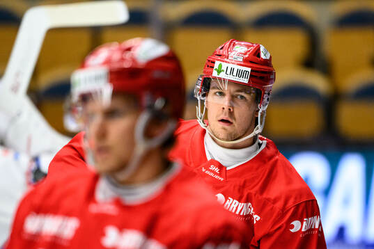 Timrås Filip Hållander