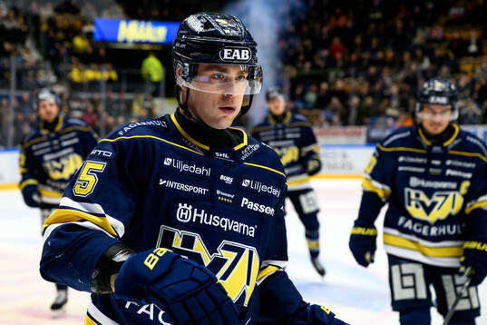 HV71s Radan Lenc jublar