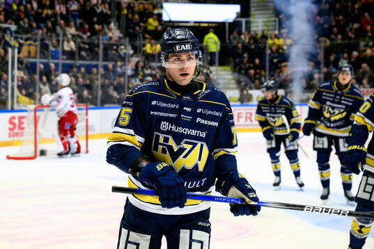 HV71s Radan Lenc jublar