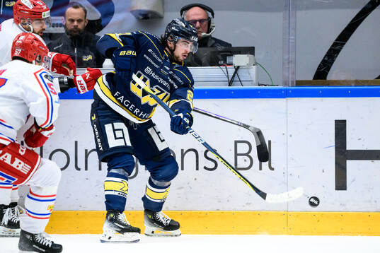 HV71s Robert Nardella