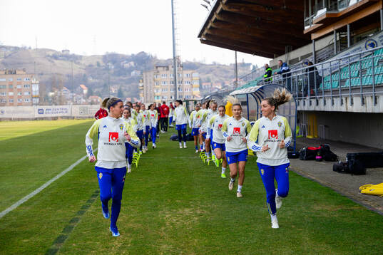 Olivia Schough and Linda Sembrant of the women's national
