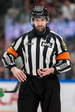 Domare Mikael Sjöqvist