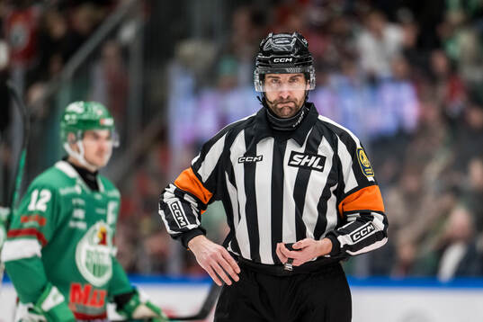 Domare Mikael Sjöqvist