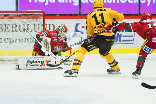 MoDos målvakt Lassi Lehtinen och Skellefteås Max Lindholm