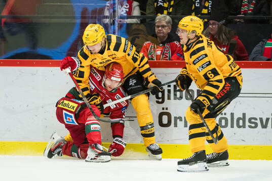 MoDos Sebastian Ohlsson och Skellefteås Max Lindholmmed