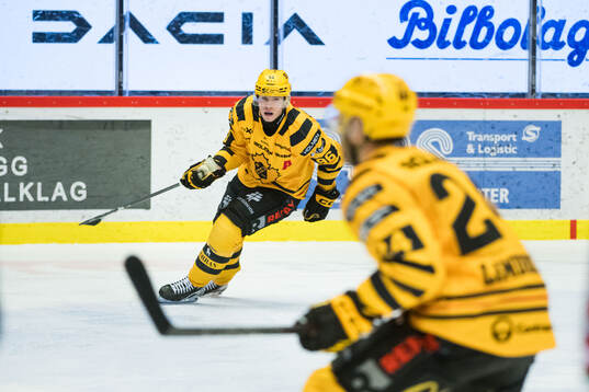 Skellefteås Rickard Hugg