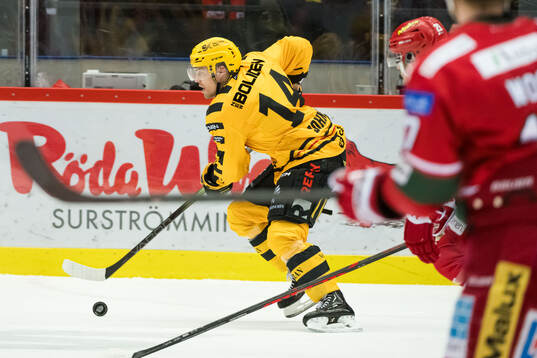 Skellefteås Andreas Johnson