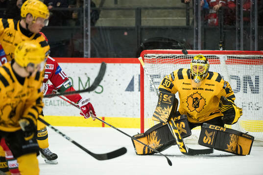 Skellefteås målvakt Gustaf Lindvall