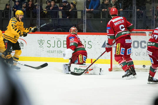 Skellefteås Jonathan Johnson jublar