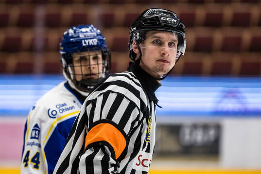 Domare Markus Yngvesson