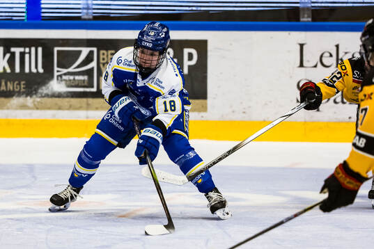 Leksands Saga Tynell-Nissas