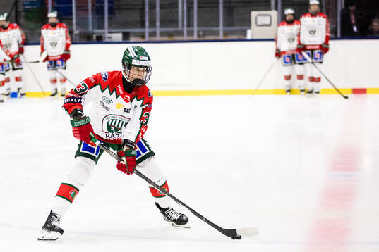 Frölundas Michelle Karvinen