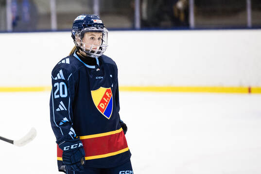 Djurgårdens Brette Pettet