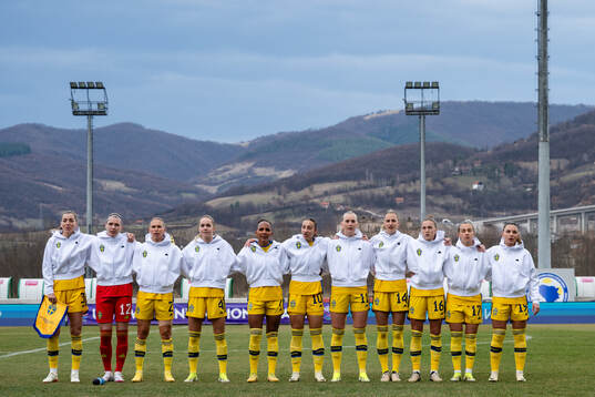 Players of Sweden