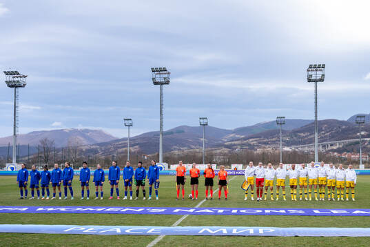 Players of Bosnia and Herzegovina and Sweden