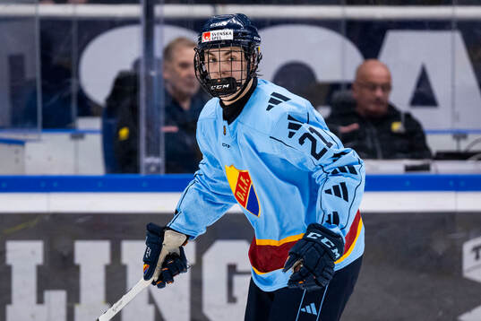 Djurgårdens Linus Eriksson