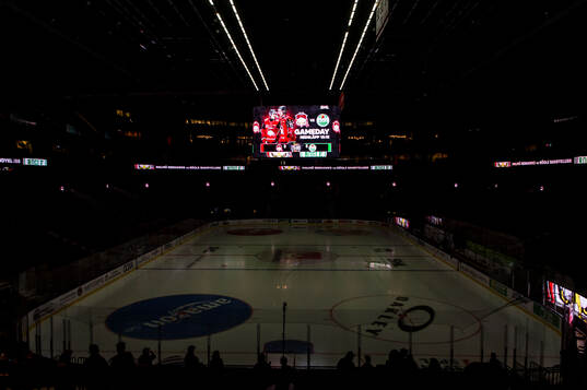 Malmö arena