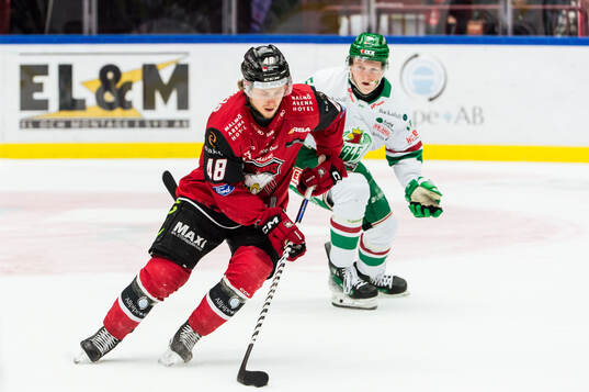 Malmö Redhawks Lauri Pajuniemi