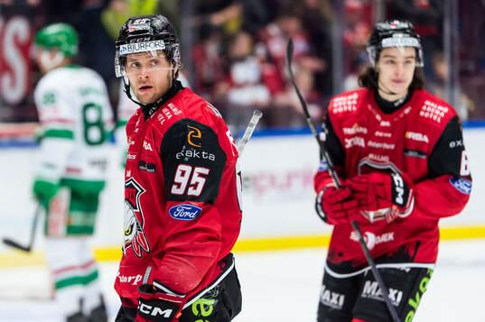 Malmö Redhawks Carl Persson deppar