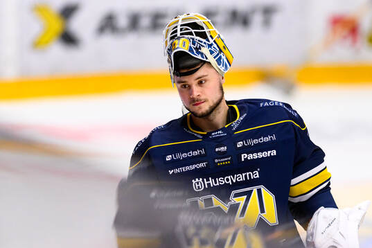 HV71s målvakt Frederik Dichow
