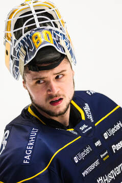 HV71s målvakt Frederik Dichow