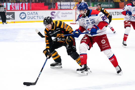 Skellefteås Rickard Hugg och Oskarshamns Hynek Zohorna