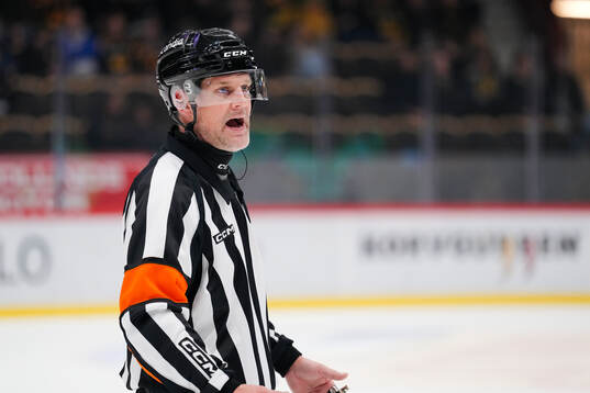 Domare Mikael Nord