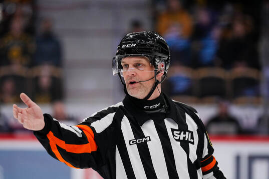Domare Mikael Nord