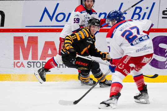 Skellefteås Max Lindholm