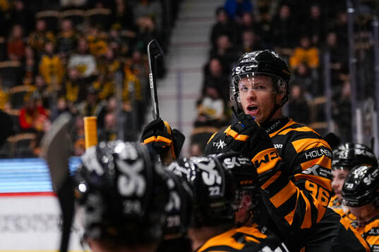 Skellefteås Rickard Hugg