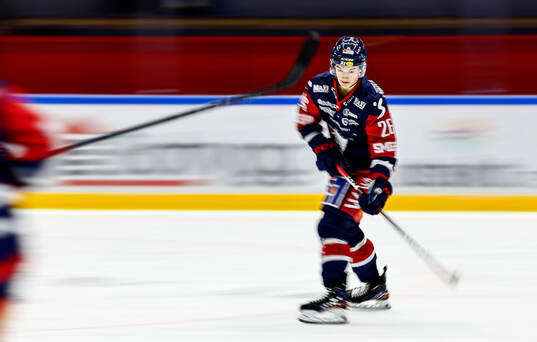 Linköpings Fabian Wagner