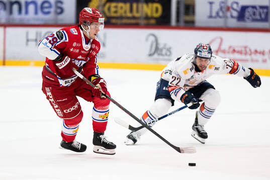 Timrås Filip Hållander