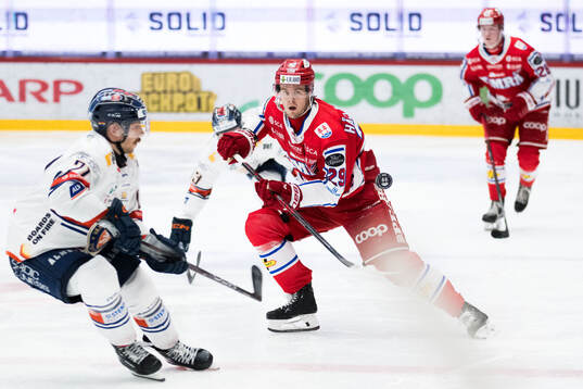 Timrås Filip Hållander